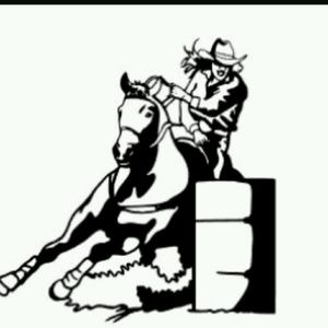 Meet your Posher, Aralyn